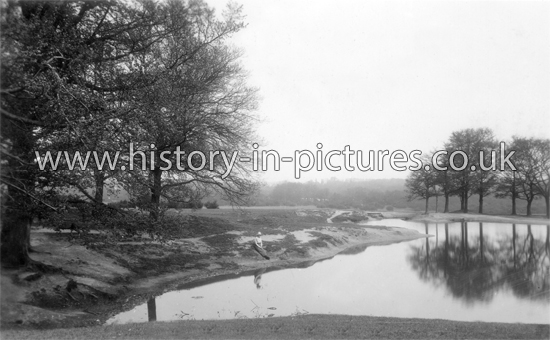 Butlers Pond, Chingford, London. c.1910's.